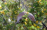 photo thumbnail #11