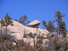 photo thumbnail #2