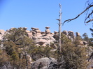 photo thumbnail #3