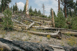 2008-07-12 :2: Rainbow Falls - Inyo NF :: slegal