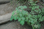 photo thumbnail #14
