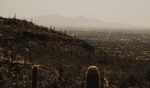 photo thumbnail #3