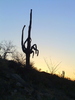 photo thumbnail #3