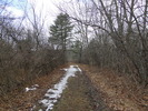 photo thumbnail #5