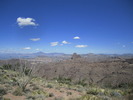 photo thumbnail #2
