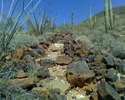 photo thumbnail #2