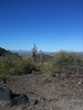 photo thumbnail #5