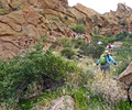 photo thumbnail #10