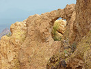 photo thumbnail #11