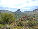 photo thumbnail #13