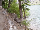 photo thumbnail #7