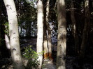 photo thumbnail #12