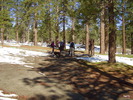 photo thumbnail #8