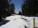 photo thumbnail #12