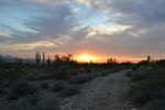 photo thumbnail #1