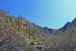 photo thumbnail #5