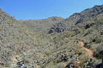 photo thumbnail #6