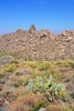 photo thumbnail #9