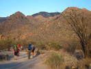 photo thumbnail #2