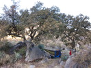 photo thumbnail #7