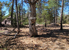 photo thumbnail #7