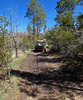 photo thumbnail #8