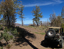photo thumbnail #12