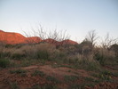 photo thumbnail #1