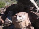 photo thumbnail #4