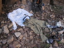 photo thumbnail #11