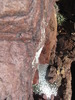 photo thumbnail #14