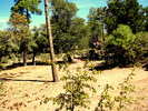 photo thumbnail #13