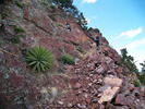 photo thumbnail #4
