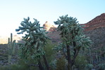 photo thumbnail #4