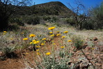 photo thumbnail #12