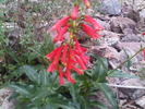 photo thumbnail #8