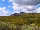 photo thumbnail #2