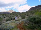 photo thumbnail #4