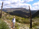 photo thumbnail #7
