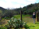 photo thumbnail #15