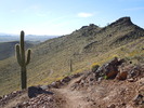 photo thumbnail #2