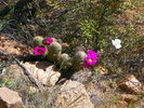 photo thumbnail #8