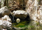 photo thumbnail #10