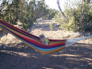 photo thumbnail #15