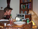 photo thumbnail #5