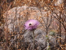 photo thumbnail #1