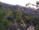photo thumbnail #3