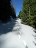 photo thumbnail #6