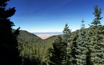 photo thumbnail #7