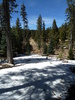 photo thumbnail #12